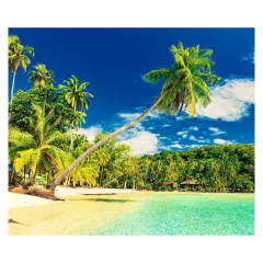 Papel de Parede Praia Paisagem Coqueiro Natureza Sala Painel Adesivo - 107pc na internet
