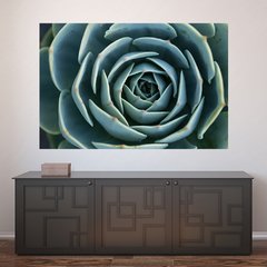 Painel Adesivo de Parede - Suculentas - 1100pn