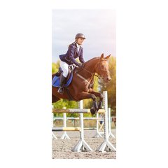 Adesivo Decorativo de Porta - Cavalo - 1169cnpt na internet