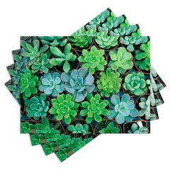 Jogo Americano com 4 peças - Suculentas - Plantas - 1196Jo