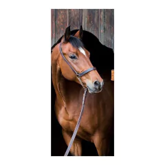 Adesivo Decorativo de Porta - Cavalo - 1198cnpt na internet