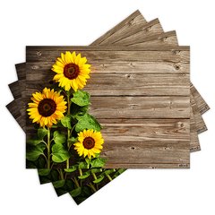 Jogo Americano com 4 peças - Flores - Floral - 1232Jo