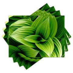 Jogo Americano com 4 peças - Plantas - Folhas - 1249Jo