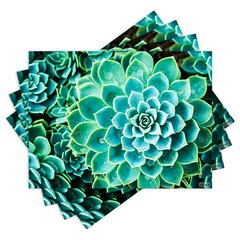 Jogo Americano com 4 peças - Suculentas - Plantas - 1257Jo