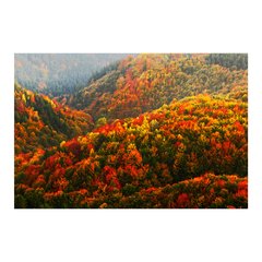Painel Adesivo de Parede - Paisagem - 1276pn - comprar online