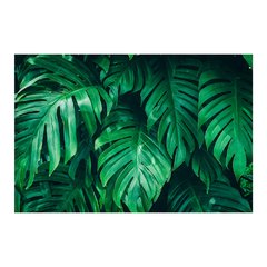 Painel Adesivo de Parede - Folha - Folhagem - 1284pn - comprar online