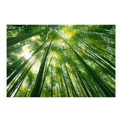 Painel Adesivo de Parede - Árvores - Folhagem - 1292pn - comprar online