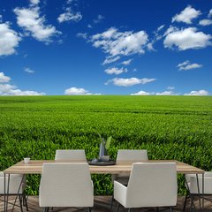 Papel de Parede Campo Paisagem Natureza Sala Painel Adesivo - 134pc