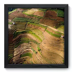 Quadro Decorativo com Moldura - Plantação - 134qnp