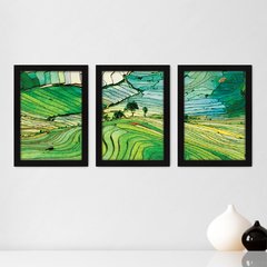 Kit Com 3 Quadros - Árvore Campo Paisagem - 135kq02p