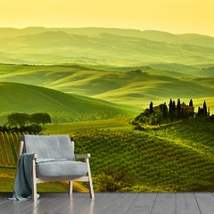 Papel de Parede Campo Paisagem Natureza Sala Painel Adesivo - 136pc
