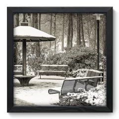 Quadro Decorativo com Moldura - Parque - 137qnp