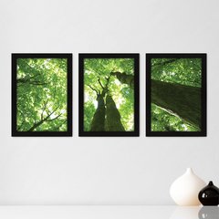 Kit Com 3 Quadros - Floresta Árvores Paisagem - 139kq02p