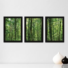 Kit Com 3 Quadros - Floresta Árvores Paisagem - 140kq02p