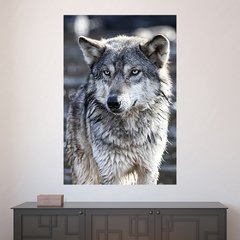 Painel Adesivo de Parede - Lobo - Animais - 1425pn