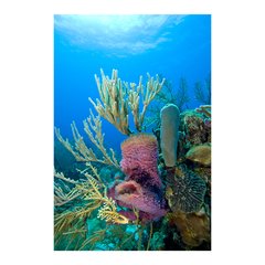 Painel Adesivo de Parede - Fundo do Mar - 1449pn - comprar online