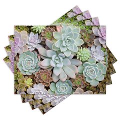 Jogo Americano com 4 peças - Suculentas - Plantas - 1486Jo
