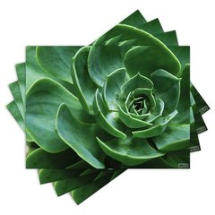 Jogo Americano com 4 peças - Suculentas - Plantas - 1491Jo