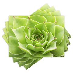 Jogo Americano com 4 peças - Suculentas - Plantas - 1492Jo