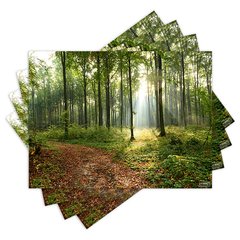 Jogo Americano com 4 peças - Floresta - Natureza - Paisagem - 1523Jo