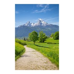 Painel Adesivo de Parede - Caminho - Paisagem - 1546pn - comprar online