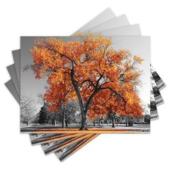 Jogo Americano com 4 peças - Árvore - Natureza - Paisagem - Flores - Laranja - 1558Jo