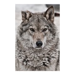 Painel Adesivo de Parede - Lobo - Animais - 1584pn - comprar online