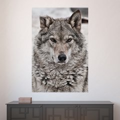 Painel Adesivo de Parede - Lobo - Animais - 1584pn