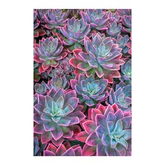 Painel Adesivo de Parede - Suculentas - Plantas - 1599pn - comprar online