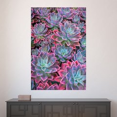 Painel Adesivo de Parede - Suculentas - Plantas - 1599pn