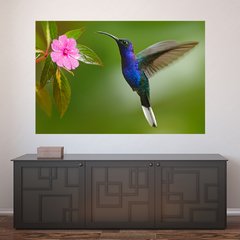 Painel Adesivo de Parede - Beija-flor - Animais - 1671pn