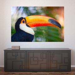 Painel Adesivo de Parede - Tucano - Animais - 1674pn