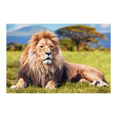 Painel Adesivo de Parede - Leão - Animais - 1692pn - comprar online