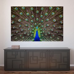 Painel Adesivo de Parede - Pavão - Animais - 1695pn