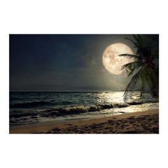 Painel Adesivo de Parede - Luar - Praia - 1705pn - comprar online