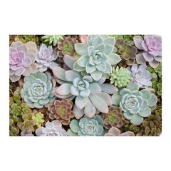 Painel Adesivo de Parede - Suculentas - Plantas - 1710pn - comprar online