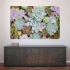 Painel Adesivo de Parede - Suculentas - Plantas - 1710pn