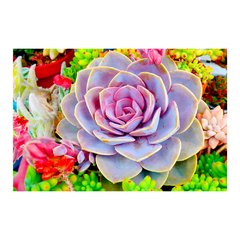 Painel Adesivo de Parede - Suculentas - Plantas - 1720pn - comprar online