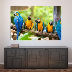Painel Adesivo de Parede - Araras - Animais - 1736pn