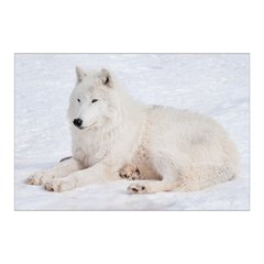 Painel Adesivo de Parede - Lobo - Animais - 1738pn - comprar online