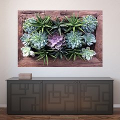 Painel Adesivo de Parede - Suculentas - Plantas - 1748pn