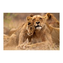 Painel Adesivo de Parede - Leoa - Animais - 1752pn - comprar online
