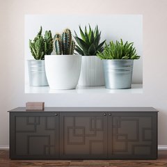 Painel Adesivo de Parede - Cactos - Plantas - 1795pn