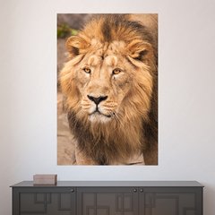 Painel Adesivo de Parede - Leão - Animais - 1829pn