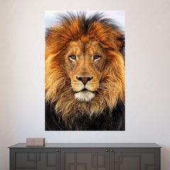 Painel Adesivo de Parede - Leão - Animais - 1833pn