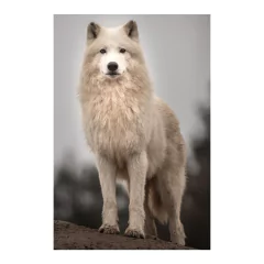 Painel Adesivo de Parede - Lobo Branco - Animais - 1835pn - comprar online