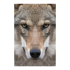 Painel Adesivo de Parede - Lobo - Animais - 1842pn - comprar online