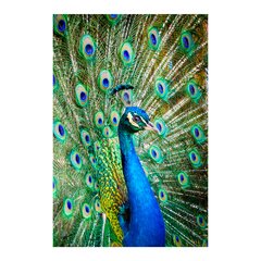 Painel Adesivo de Parede - Pavão - Animais - 1844pn - comprar online