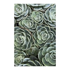 Painel Adesivo de Parede - Suculentas - Plantas - 1857pn - comprar online