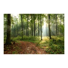 Painel Adesivo de Parede - Selva - Floresta - 1880pn - comprar online